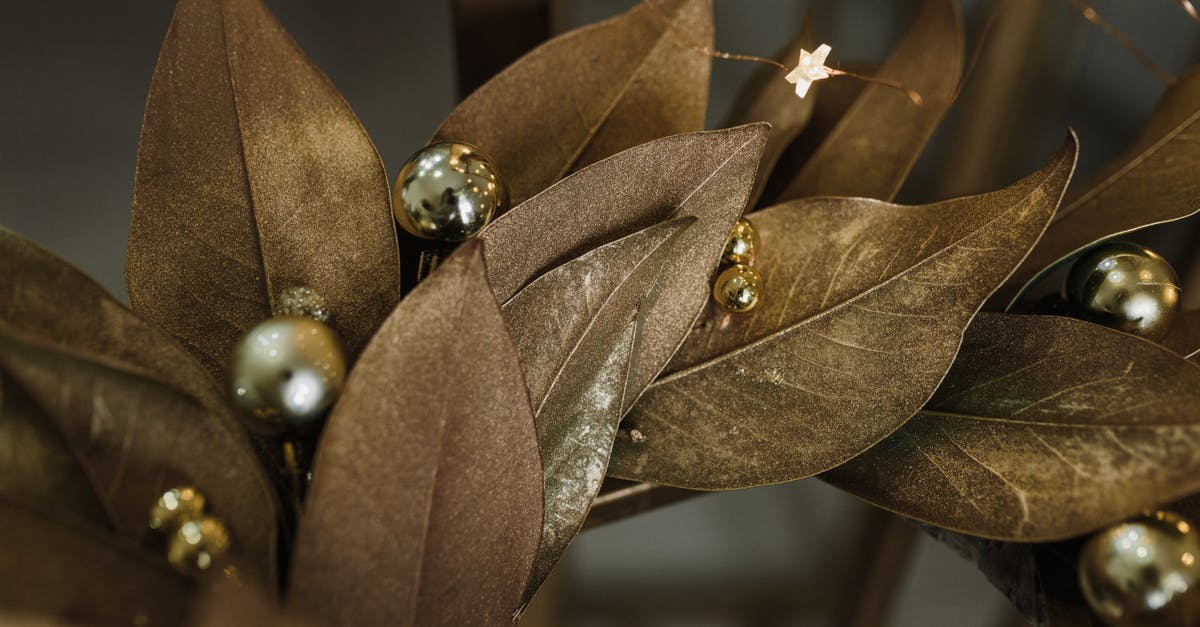 How to solo Gold Fury? - Free stock photo of 2021, celebration, christmas How to solo Gold Fury? - Free stock photo of 2021, celebration, christmas