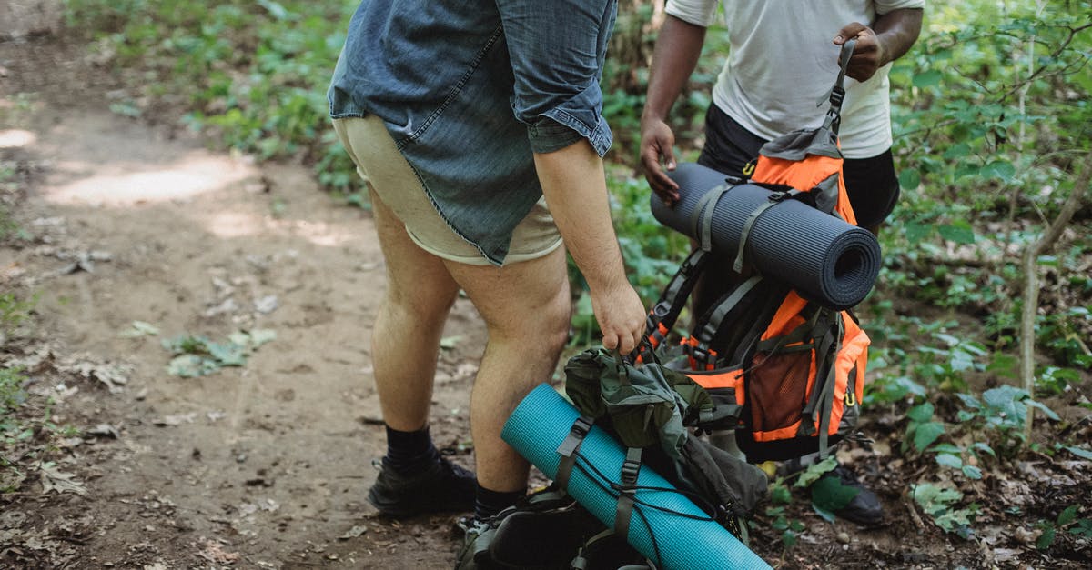 How To Stop Miis From Fighting All The Time - Multiethnic travelers putting backpacks on ground How To Stop Miis From Fighting All The Time - Multiethnic travelers putting backpacks on ground