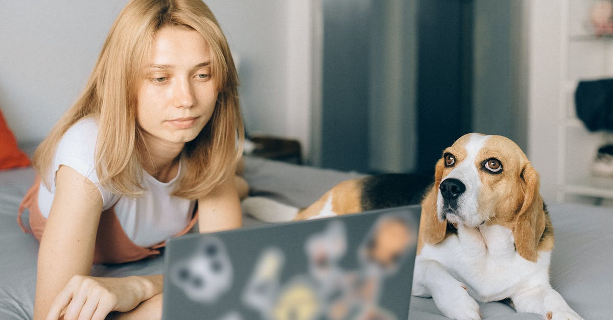 How to stream from a second computer - Woman Lying on a Bed and Looking at her Laptop How to stream from a second computer - Woman Lying on a Bed and Looking at her Laptop