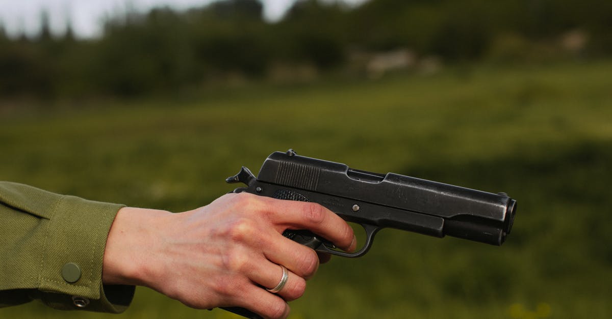 How to tell if a weapon is one or two-handed - Person Holding Black Semi Automatic Pistol