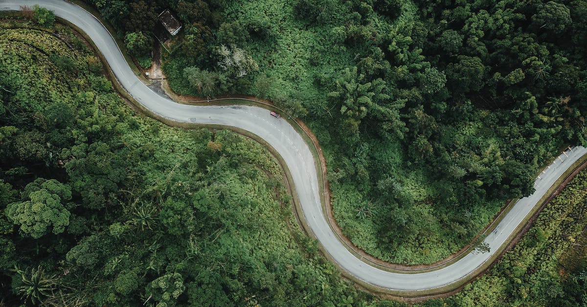 How to track player's height level? - Aerial view of curvy road in lush forest