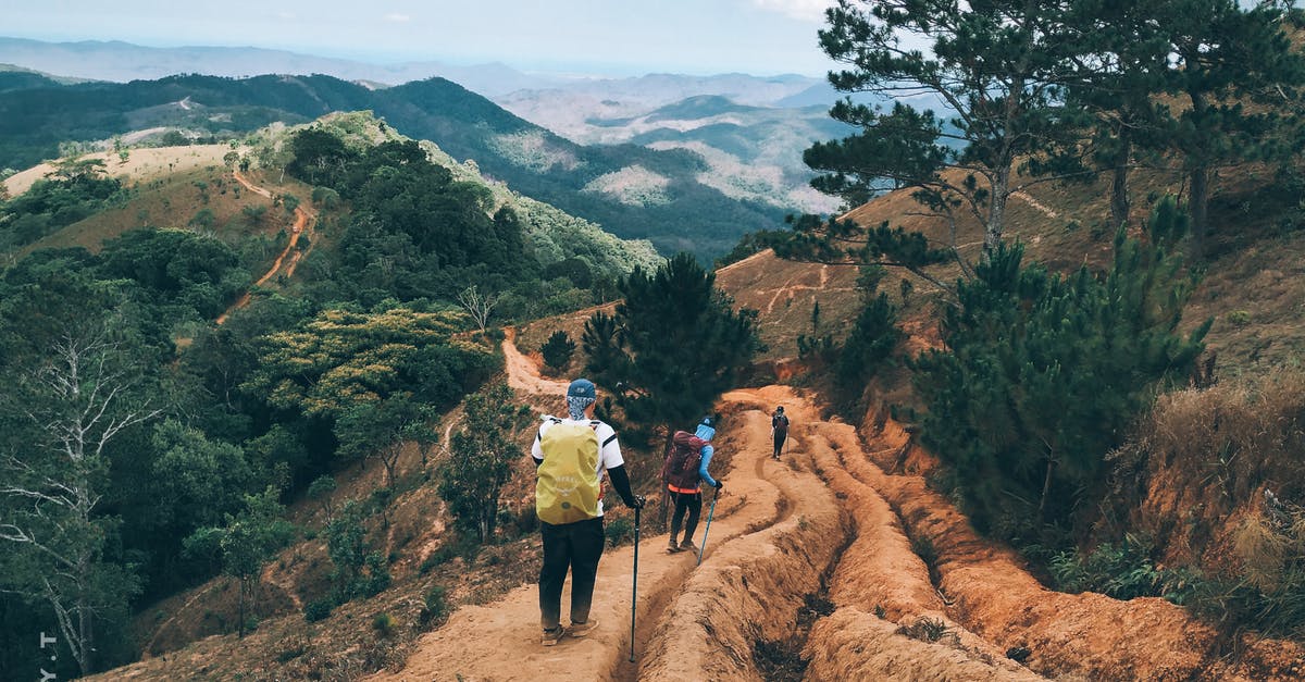 How to track player's height level? - Back view of unrecognizable hikers with trekking poles traveling in green hilly valley How to track player's height level? - Back view of unrecognizable hikers with trekking poles traveling in green hilly valley