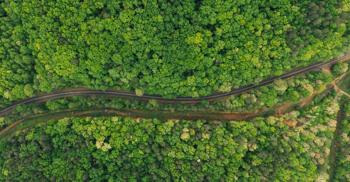 How to track player's height level? - Aerial view of asphalt curvy roadway running amidst abundant forest during clear summer day How to track player's height level? - Aerial view of asphalt curvy roadway running amidst abundant forest during clear summer day