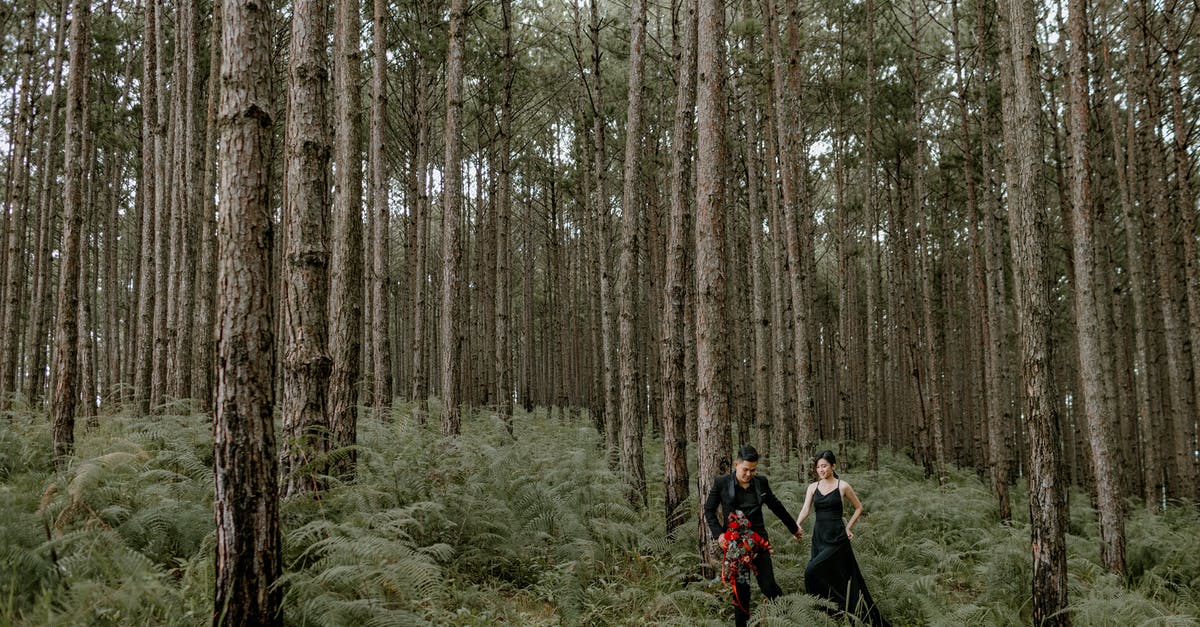 How to trigger the nature day event? - Young couple walking in bushy forest