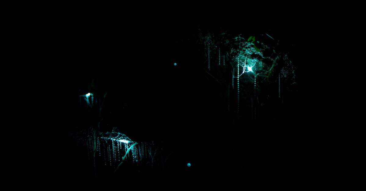 How to unlock a plant, animal or mineral - Luminous webs of glowing worms in cave How to unlock a plant, animal or mineral - Luminous webs of glowing worms in cave