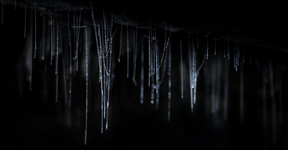 How to unlock a plant, animal or mineral - From below of black and white glowing luminous webs of Arachnocampa Luminosa worms hanging in dark cave How to unlock a plant, animal or mineral - From below of black and white glowing luminous webs of Arachnocampa Luminosa worms hanging in dark cave