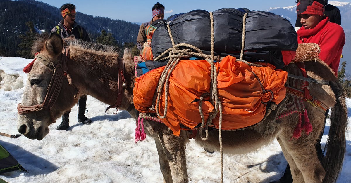 How to unlock horse masks in RDR2? - Man in Orange Jacket Riding Brown Horse