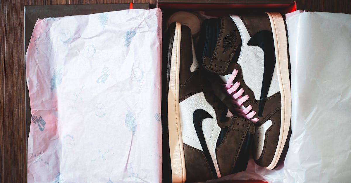 How to unlock Kicks shoe shop in Animal Crossing New Leaf - Top view of new stylish unisex sneakers in cardboard box placed on wooden floor How to unlock Kicks shoe shop in Animal Crossing New Leaf - Top view of new stylish unisex sneakers in cardboard box placed on wooden floor