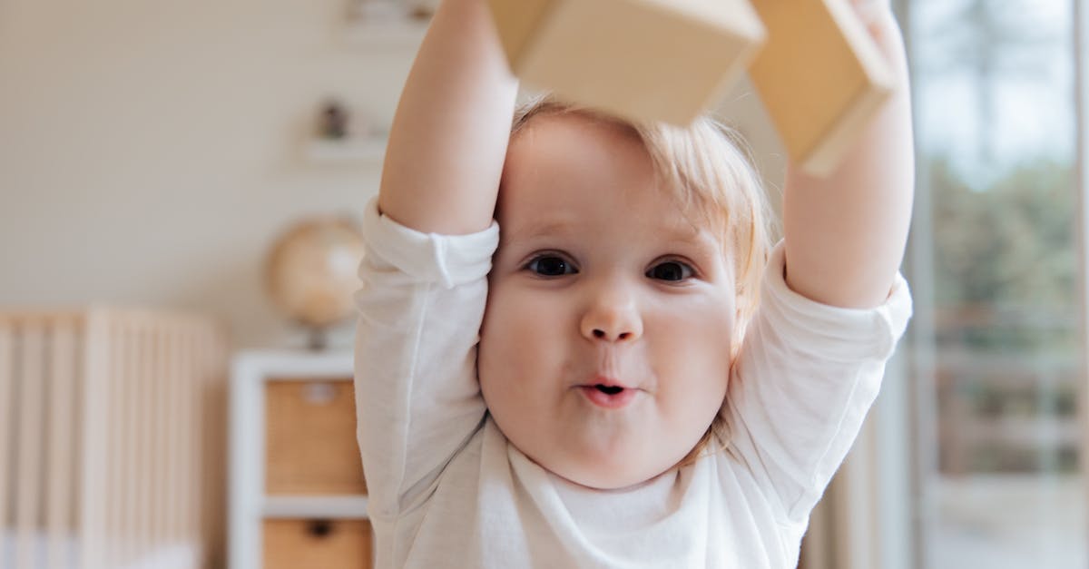 How to update all blocks in a chunk? - Baby in White Onesie Holding Wooden Blocks