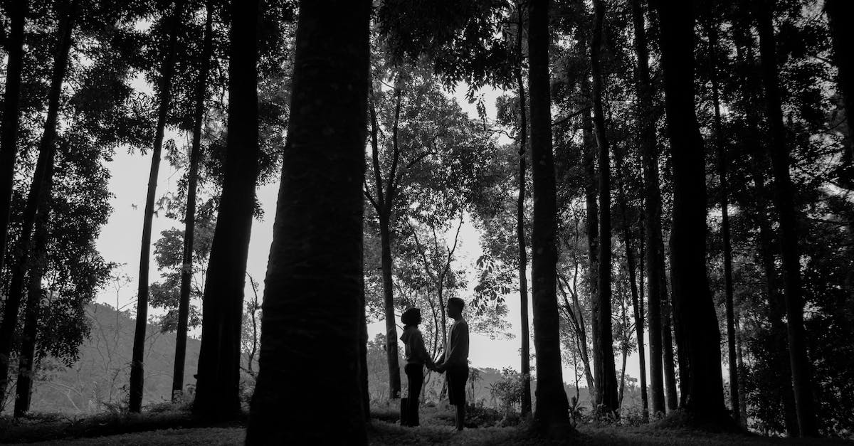 How to use Tall Goat and other rewards? - Black and white of distant anonymous couple holding hands and looking at each other while standing in woods with tall trees during romantic date in nature