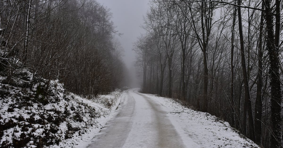 How would I make an entity stay frozen on the spot, mid air (no AI)? - Snow Covered Road Between Bare Trees How would I make an entity stay frozen on the spot, mid air (no AI)? - Snow Covered Road Between Bare Trees