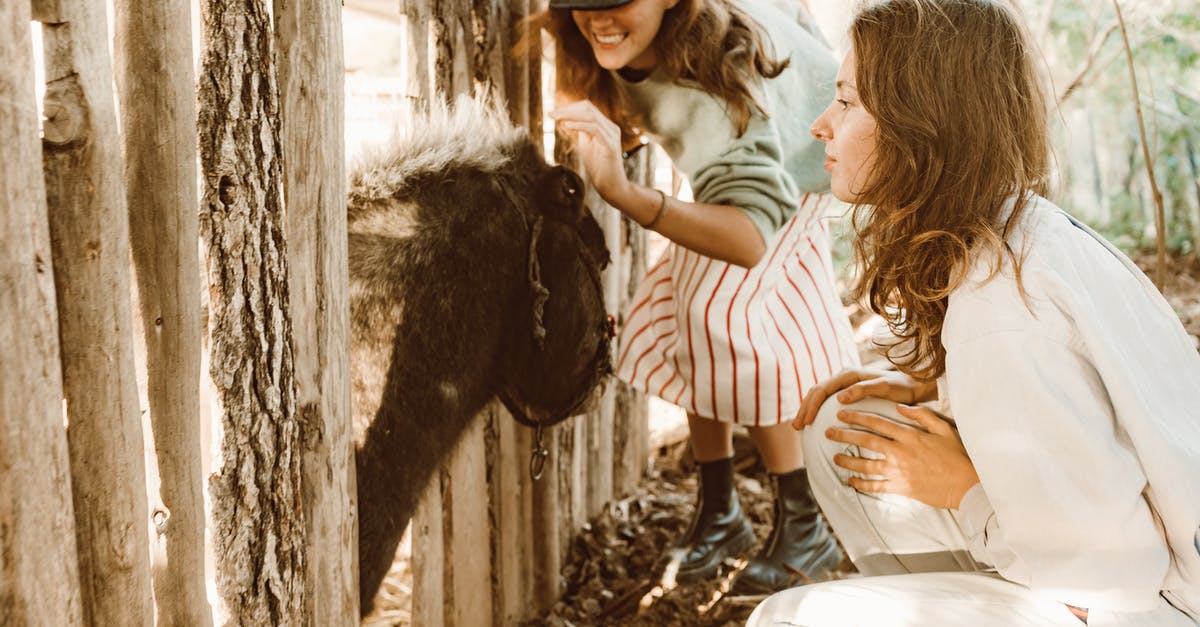 How would you create a good mushroom farm on Minecraft? - Girls with Donkey