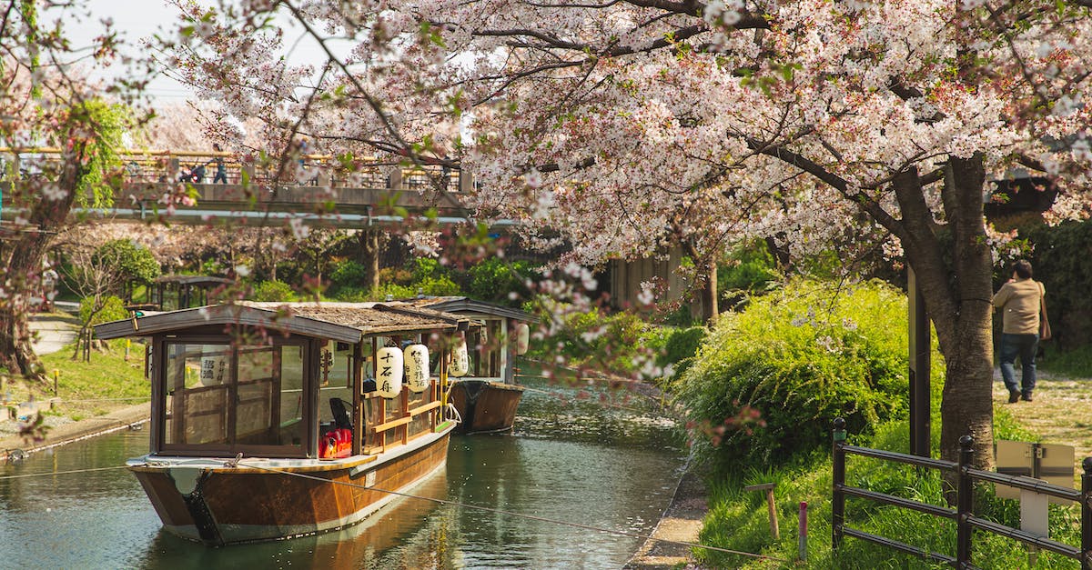 Hydro Plant not allowing water flow through - Picturesque scenery of calm river channel with floating oriental boats located in green park with Cherry blossom in sunny day Hydro Plant not allowing water flow through - Picturesque scenery of calm river channel with floating oriental boats located in green park with Cherry blossom in sunny day