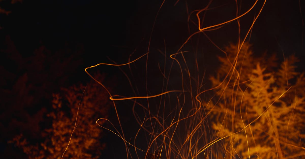 I'm on fire. So? - Brown Grass in Close Up Photography