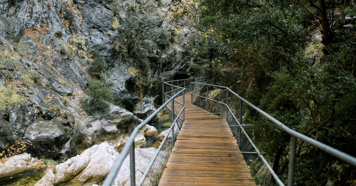 I'm stuck catching my first Pokémon over and over - Small footbridge over river in mountainous terrain I'm stuck catching my first Pokémon over and over - Small footbridge over river in mountainous terrain