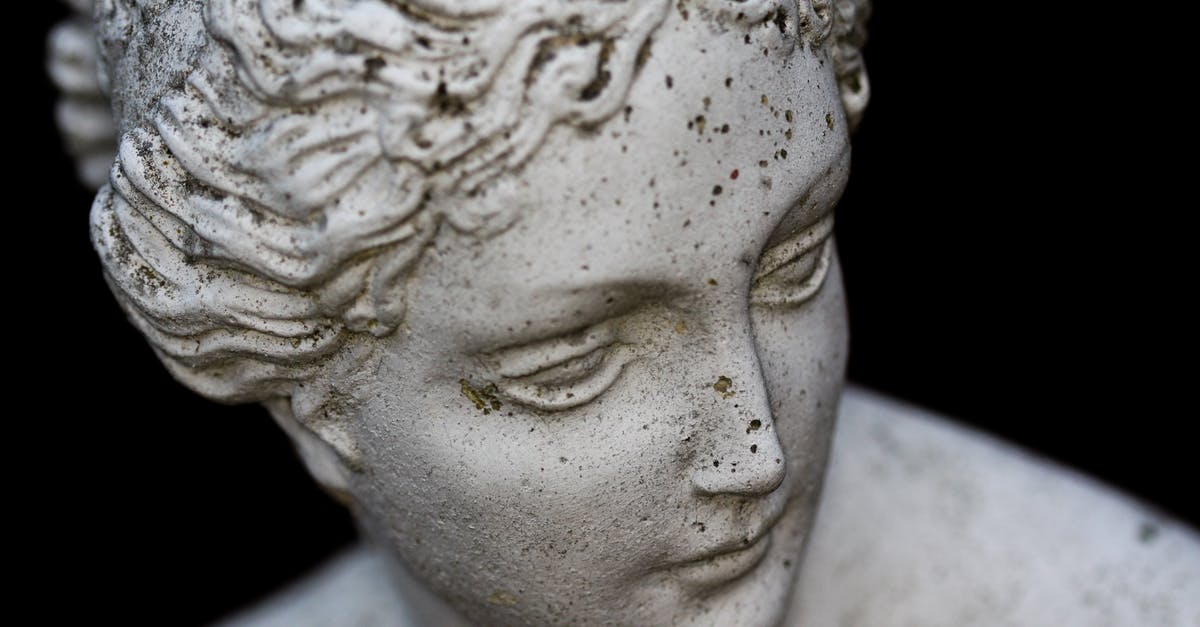 I'm trying to test for a named player head in slot 0b but I can't figure out whats wrong [closed] - Close Up Shot of a Statue