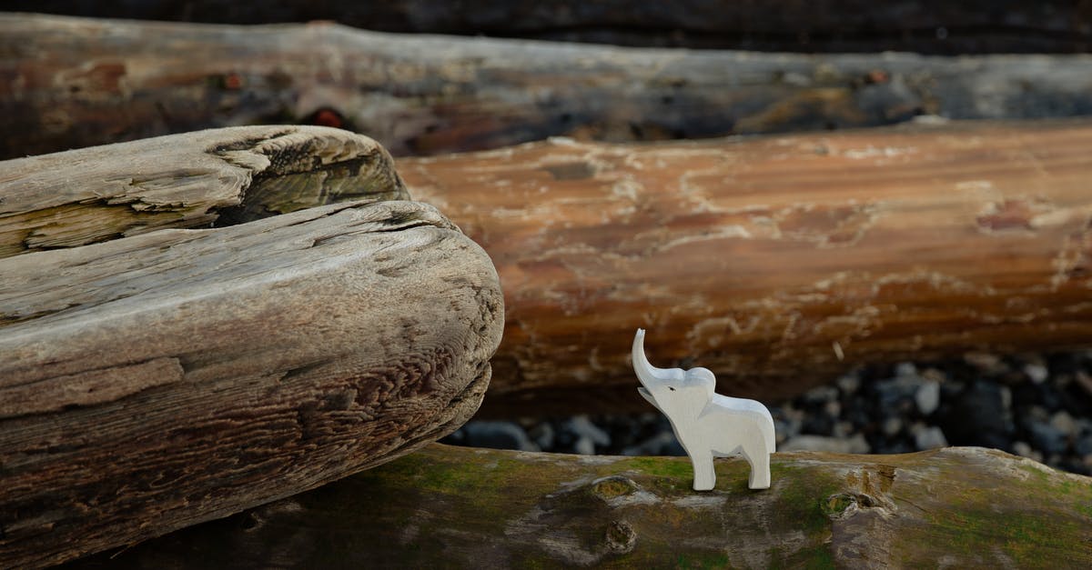 I accidentally log out and now game won't log in - Toy figure of elephant placed on log on stony ground in nature