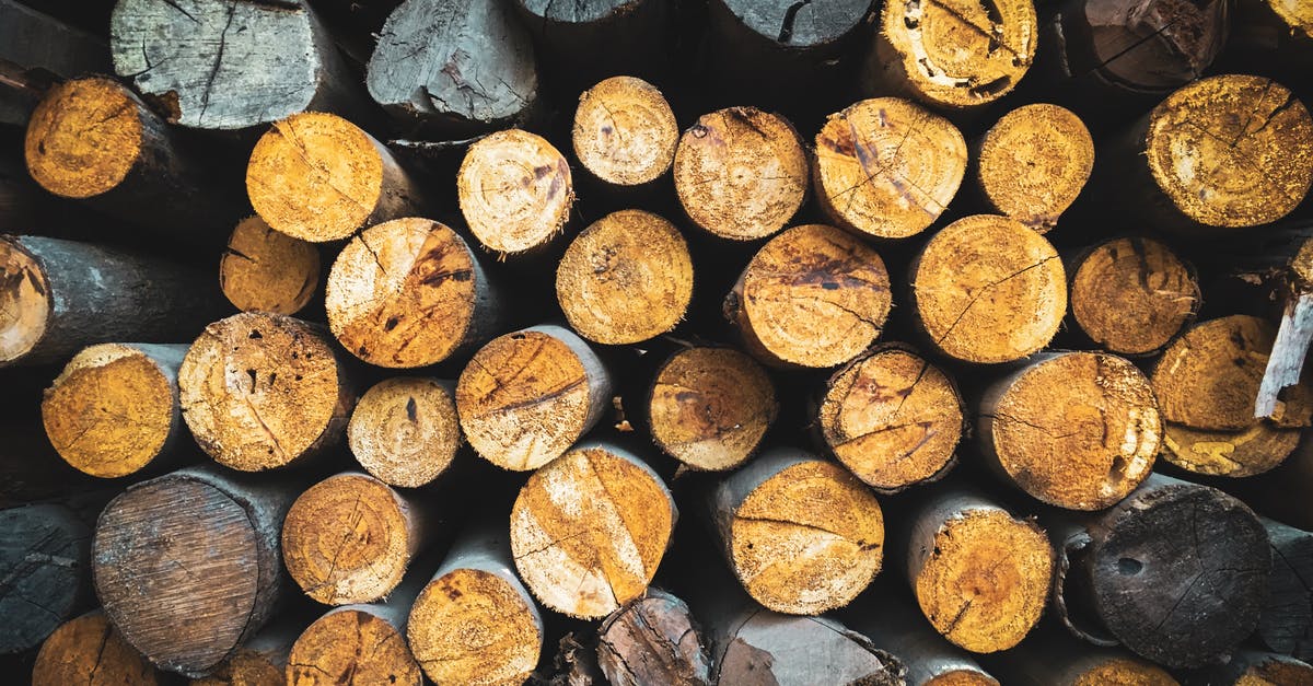 I accidentally log out and now game won't log in - Photo Of Wood Logs I accidentally log out and now game won't log in - Photo Of Wood Logs