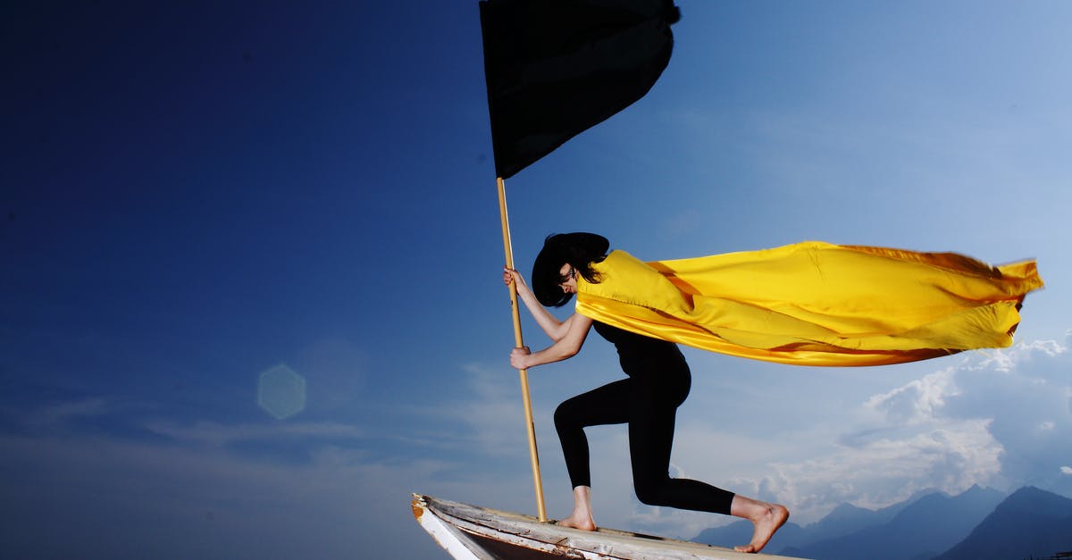 I achieved hero status, what does it mean? - Woman Holding Black Flag I achieved hero status, what does it mean? - Woman Holding Black Flag