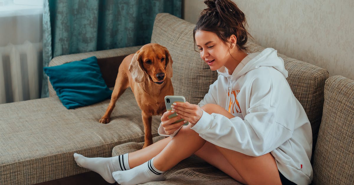 I bought the vector .45acp in watch dogs but doesn't show up in my inventory. why and how do I get it? - Young female owner with brown hair and in hoodie using mobile phone while sitting on comfortable sofa with Labrador in living room