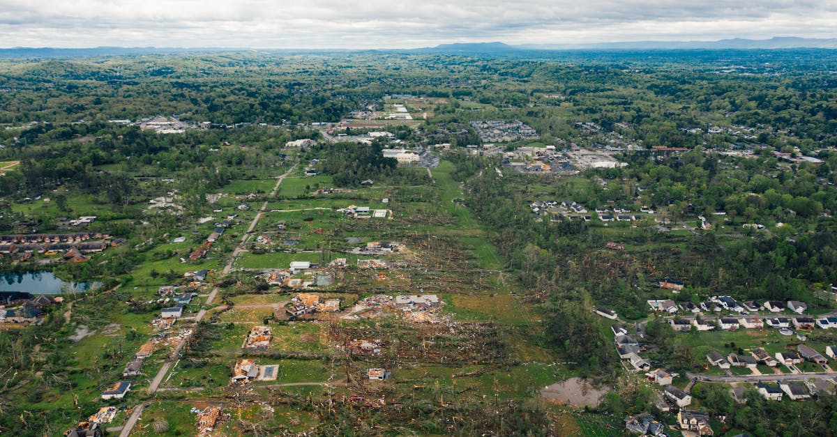 I can't find Chop at my house - Chopped down trees in middle of green suburban settlement