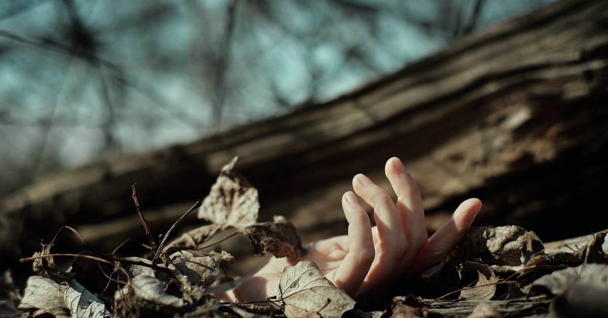 I can't leave a comment or star levels, why? - Hand of person on dry leaves on ground I can't leave a comment or star levels, why? - Hand of person on dry leaves on ground