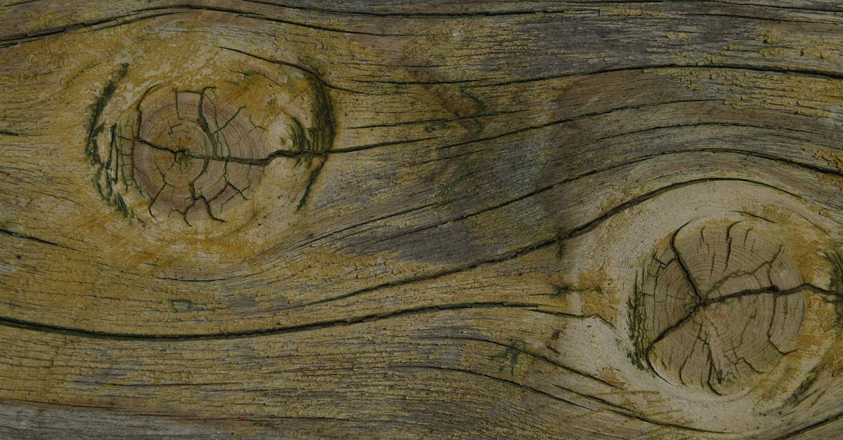 I can't log into my own bukkit server? - Brown Wooden Surface With Heart Carved