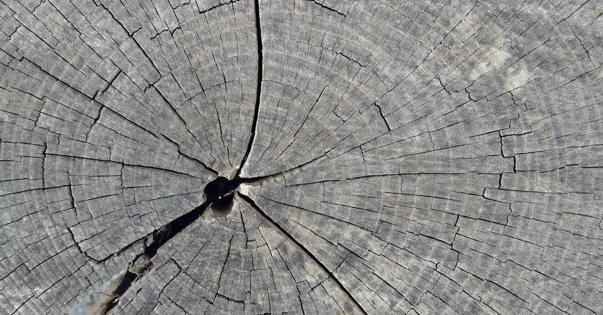 I can't log into my own bukkit server? - Black and White Abstract Painting