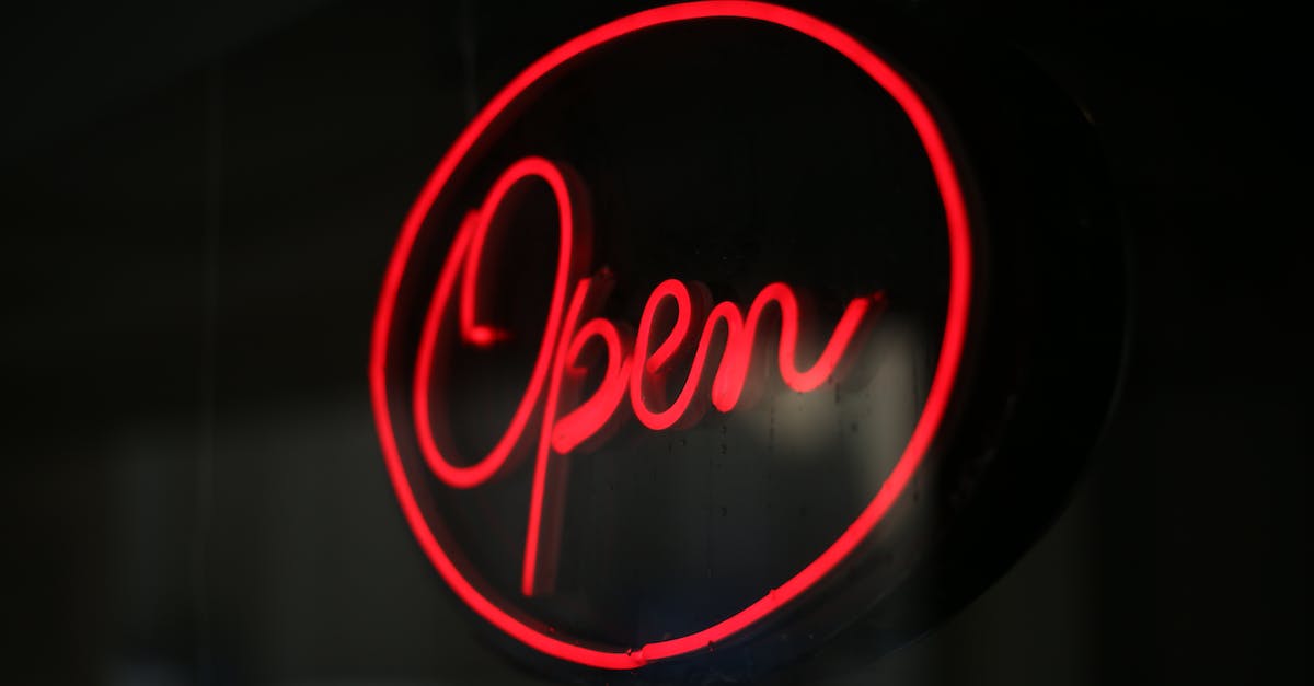 I can't open Minecraft with Litemod (Gave up trying to download...) [closed] - Red and White Love Neon Light Signage