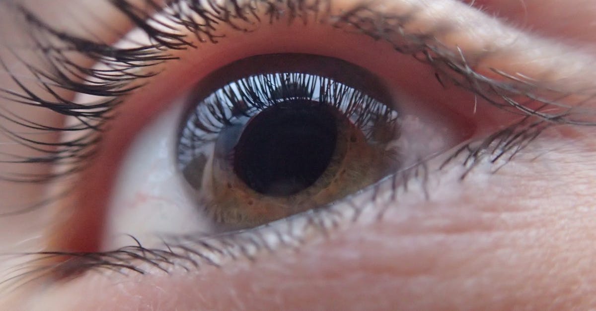 I can't see skins in 1.10.2 - Extreme Close-up of Woman Eye I can't see skins in 1.10.2 - Extreme Close-up of Woman Eye
