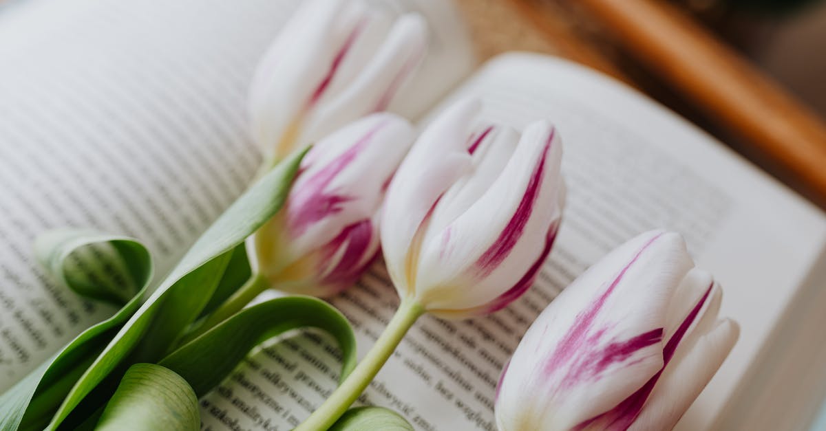 I CAN install Pokemon Go from Google Play Store but it won't open - From above spring tulips arranged together on open book with blurred text in floral shop
