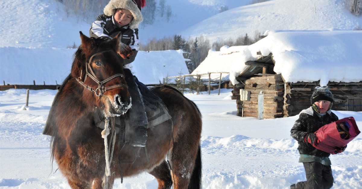 I found a skeleton horse that had spawned(No lightning/storm), and I tried to ride/tame it and it doesn't do anything [duplicate] - Person Riding on Brown Horse on Snow Covered Ground