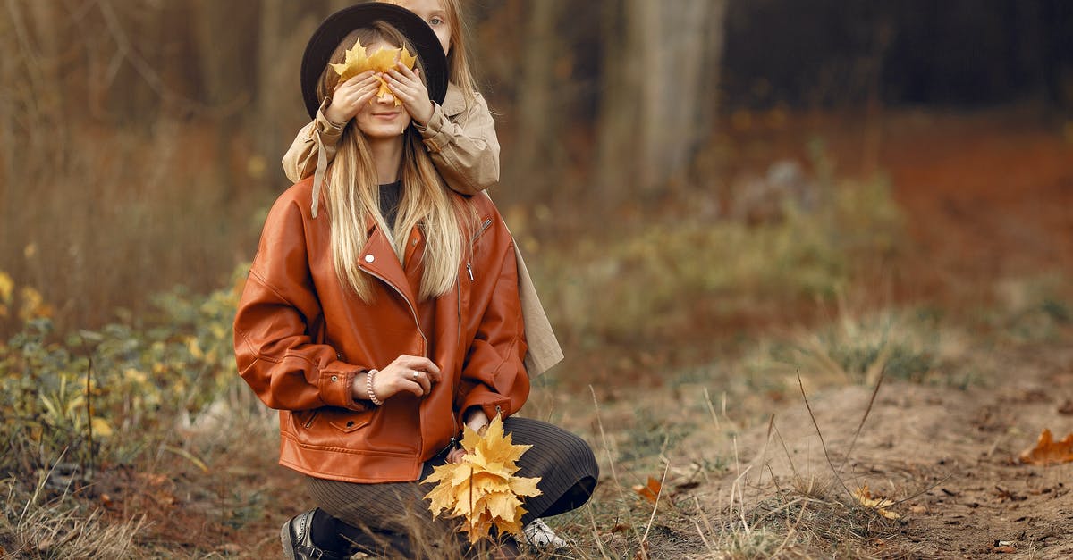 I have my buddy Feebas and have walked 20km with it. Is it too late to evolve? [closed] - Happy mother and daughter playing in autumn forest