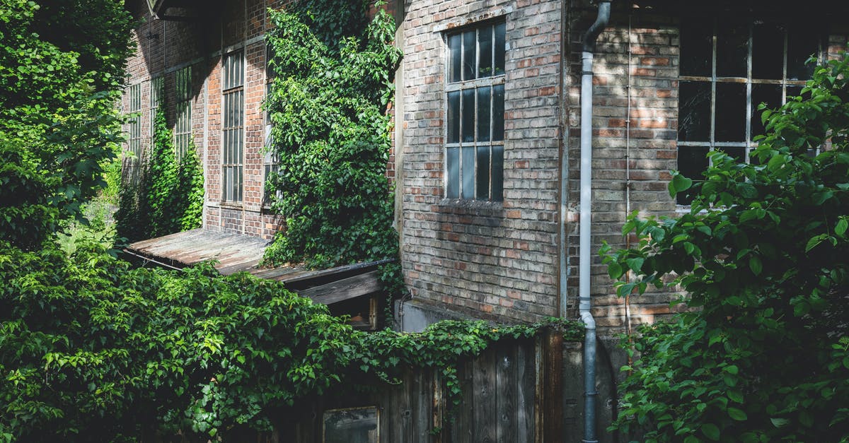 I Lost My Build [duplicate] - Gray Concrete House Near Green Trees