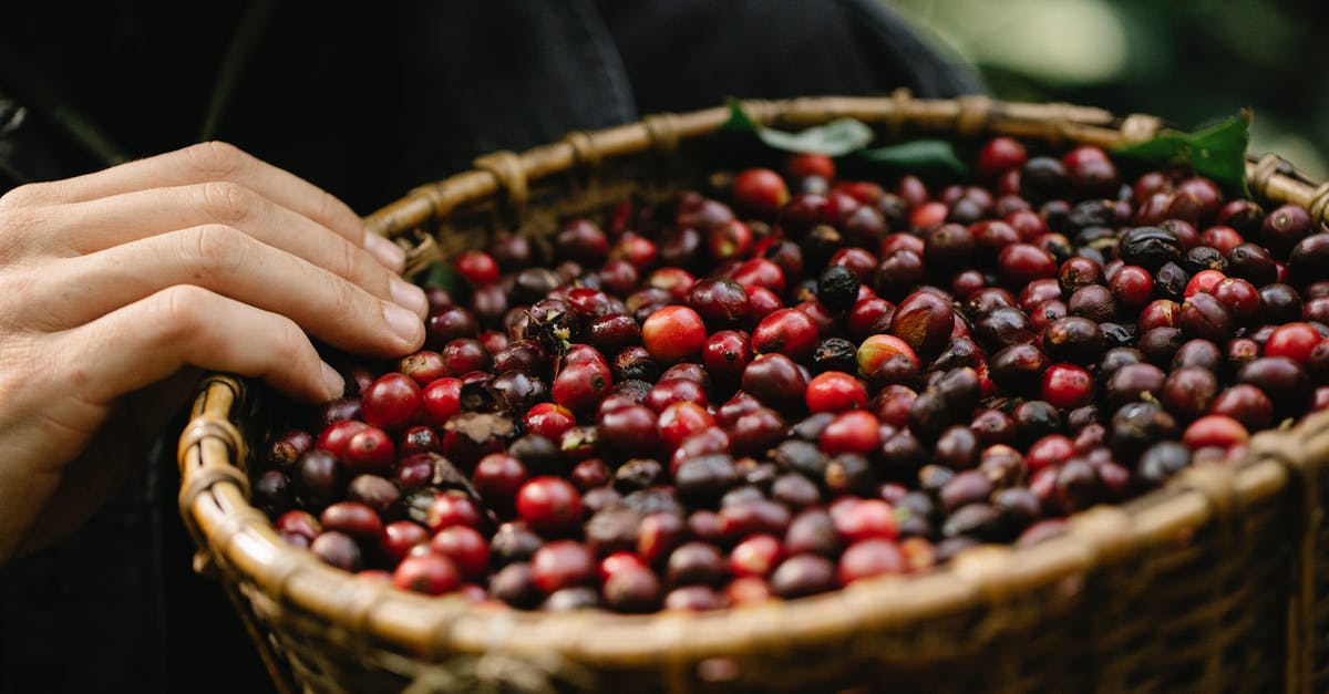 I need energy, which is better to upgrade, Hydro Plant or Solar Farm? - Crop gardener showing wicker basket filled with red berries in farm