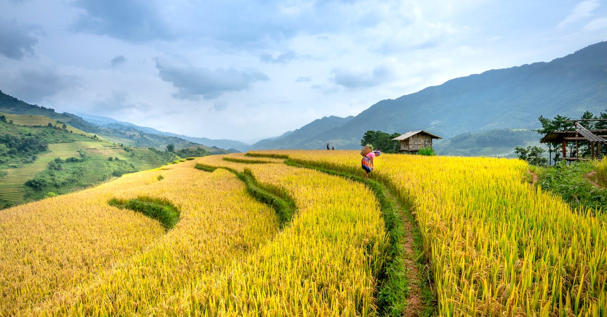 I picked the wrong starter, is there any way to change it? - Unrecognizable worker on grassy agricultural field I picked the wrong starter, is there any way to change it? - Unrecognizable worker on grassy agricultural field