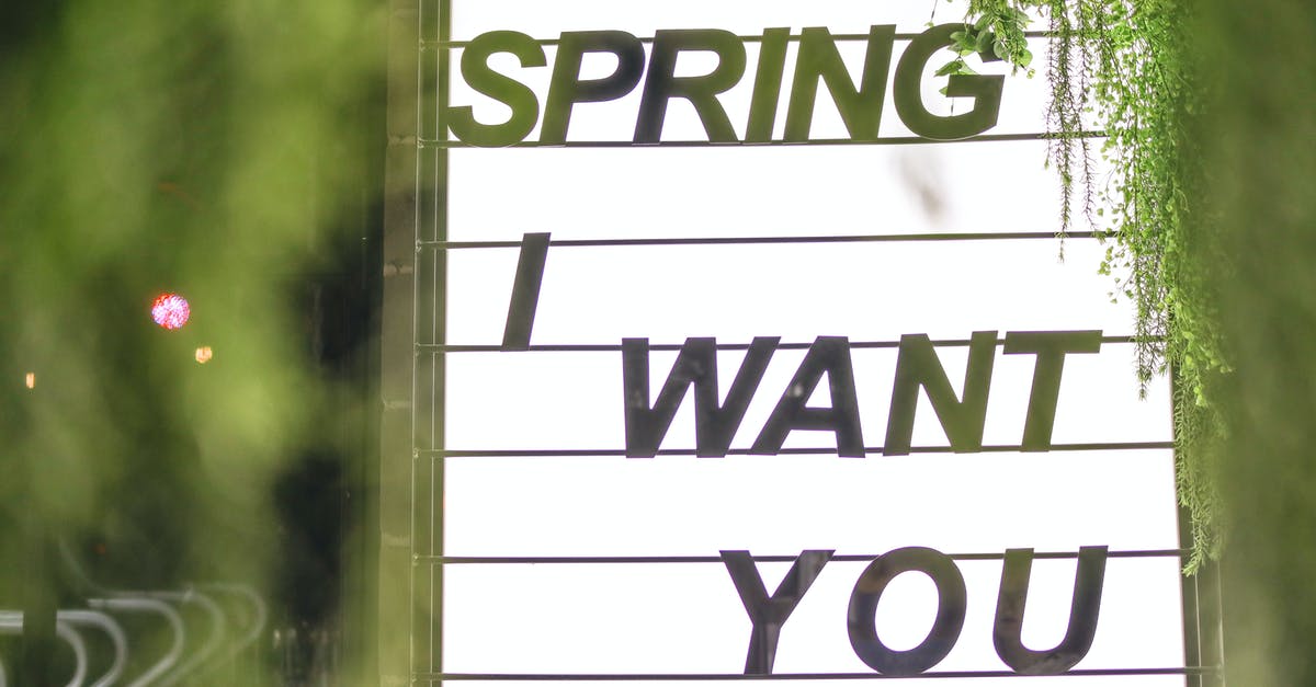 I want to be an assassin - Sign glowing in white light consisting of several compartments with black inscription Spring I Want You surrounded by blurred green plants in evening on street I want to be an assassin - Sign glowing in white light consisting of several compartments with black inscription Spring I Want You surrounded by blurred green plants in evening on street