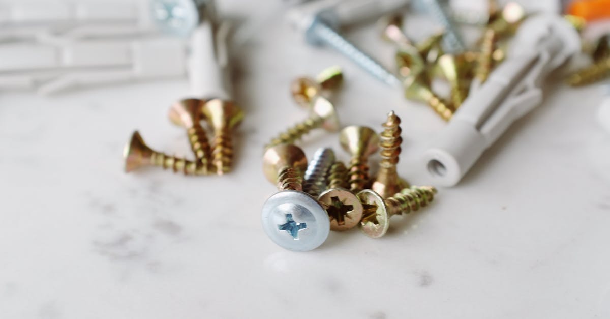 I want to install Steam on two different locations - Bunch of various metal screws with plastic dowels placed on white table