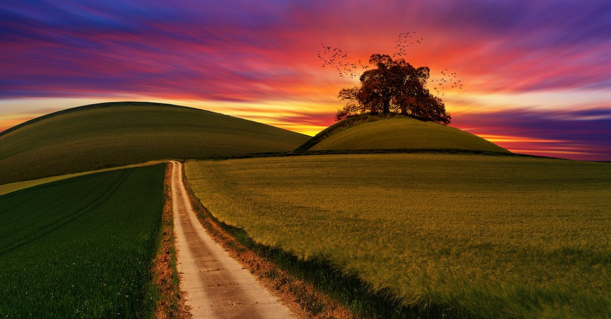 Identify this Android game? - Green Rice Field