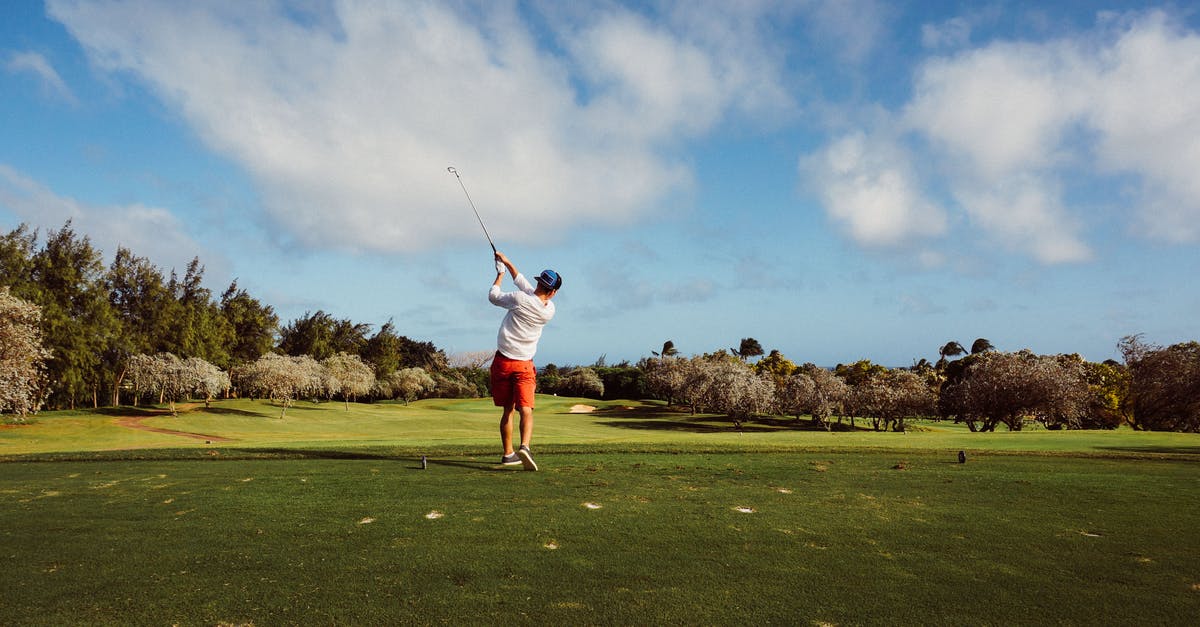 If I configure my vault for cloud save, will the game require me to be online? - Man in White T Shirt Playing Golf If I configure my vault for cloud save, will the game require me to be online? - Man in White T Shirt Playing Golf
