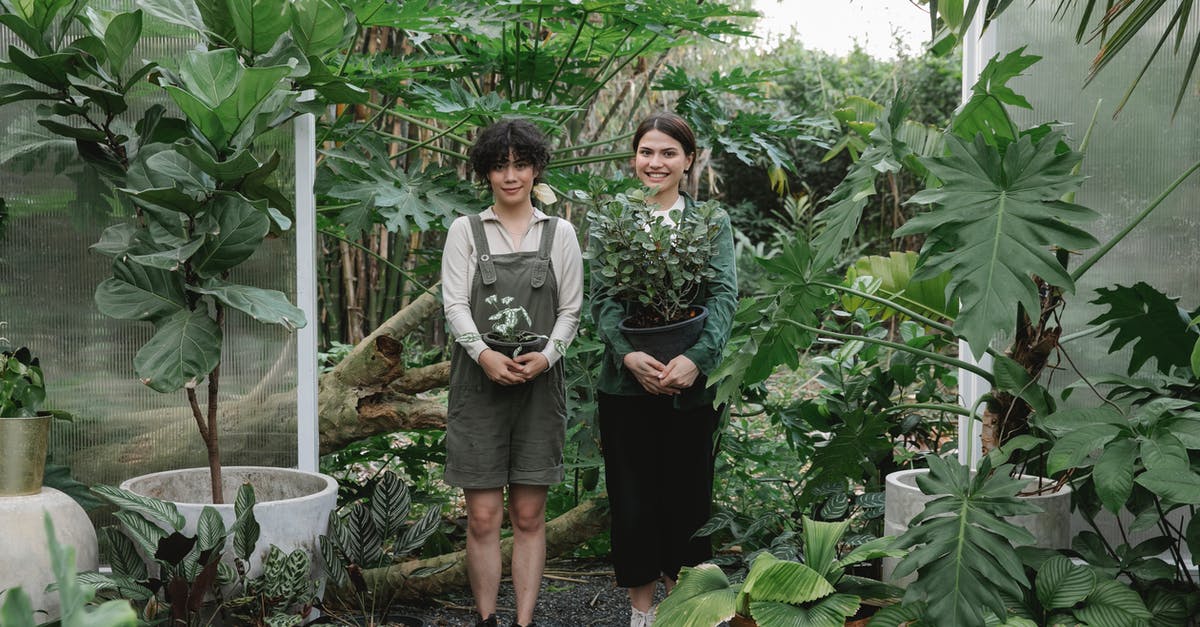 If I populate lots with various households, will the sims find careers and work on their own? - Female ethnic gardeners with pots in glasshouse If I populate lots with various households, will the sims find careers and work on their own? - Female ethnic gardeners with pots in glasshouse
