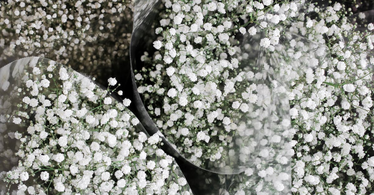 If I sign in to Humble Bundle monthly now, will I get this month's bundle or the next month's bundle? - Bunches of Gypsophila in buckets in flower shop