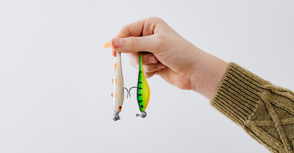 If someone puts an item at another anvil, will the price reset? - Hand Holding Fishing Baits