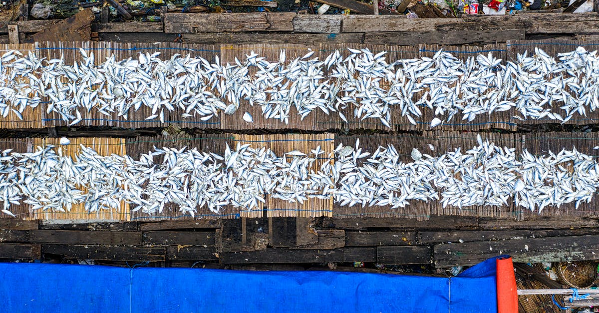 If you catch an Ultra Warp Ride Legendary and trade it, will it be obtainable in the Ultra Wormhole Again? - Fresh fish drying on street If you catch an Ultra Warp Ride Legendary and trade it, will it be obtainable in the Ultra Wormhole Again? - Fresh fish drying on street