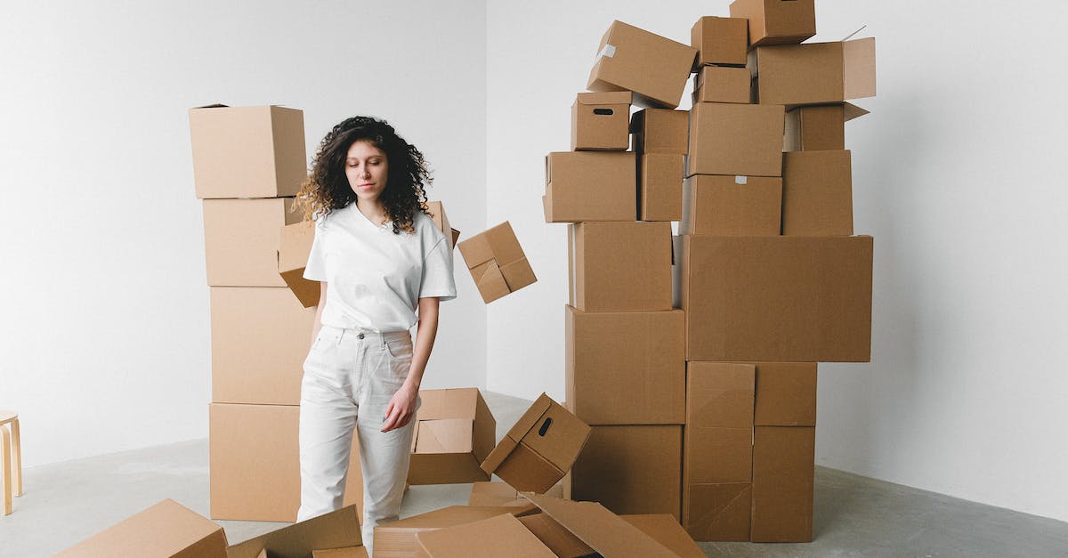 If you move to a new town on a different copy of ACNL, do villagers remember you? - Woman between heaps of carton boxes in new house If you move to a new town on a different copy of ACNL, do villagers remember you? - Woman between heaps of carton boxes in new house