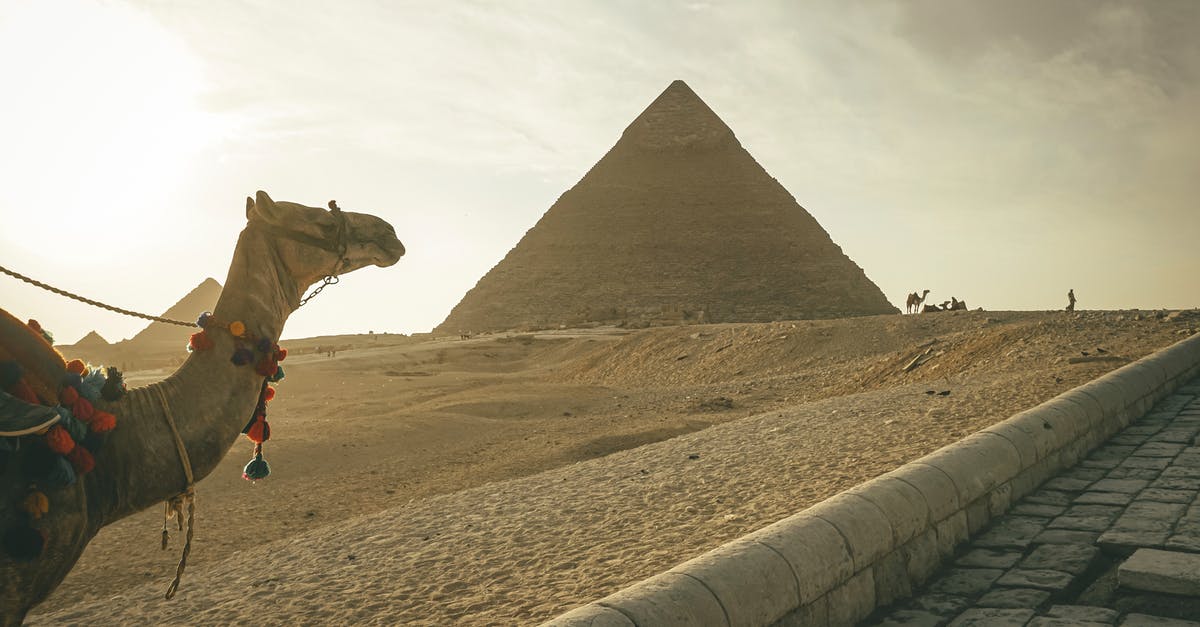 If you place enough sand, does it start making desert mobs spawn in Terraria? - Camel standing against famous Great Pyramids in Egypt If you place enough sand, does it start making desert mobs spawn in Terraria? - Camel standing against famous Great Pyramids in Egypt