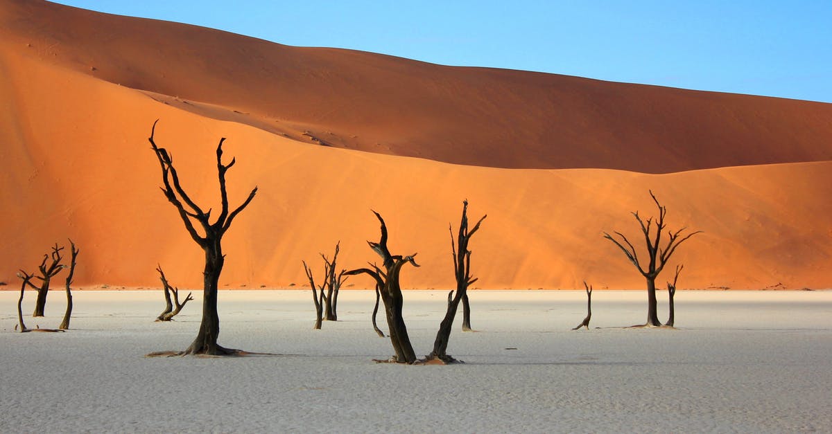 If you place enough sand, does it start making desert mobs spawn in Terraria? - Bare Trees in Desert If you place enough sand, does it start making desert mobs spawn in Terraria? - Bare Trees in Desert