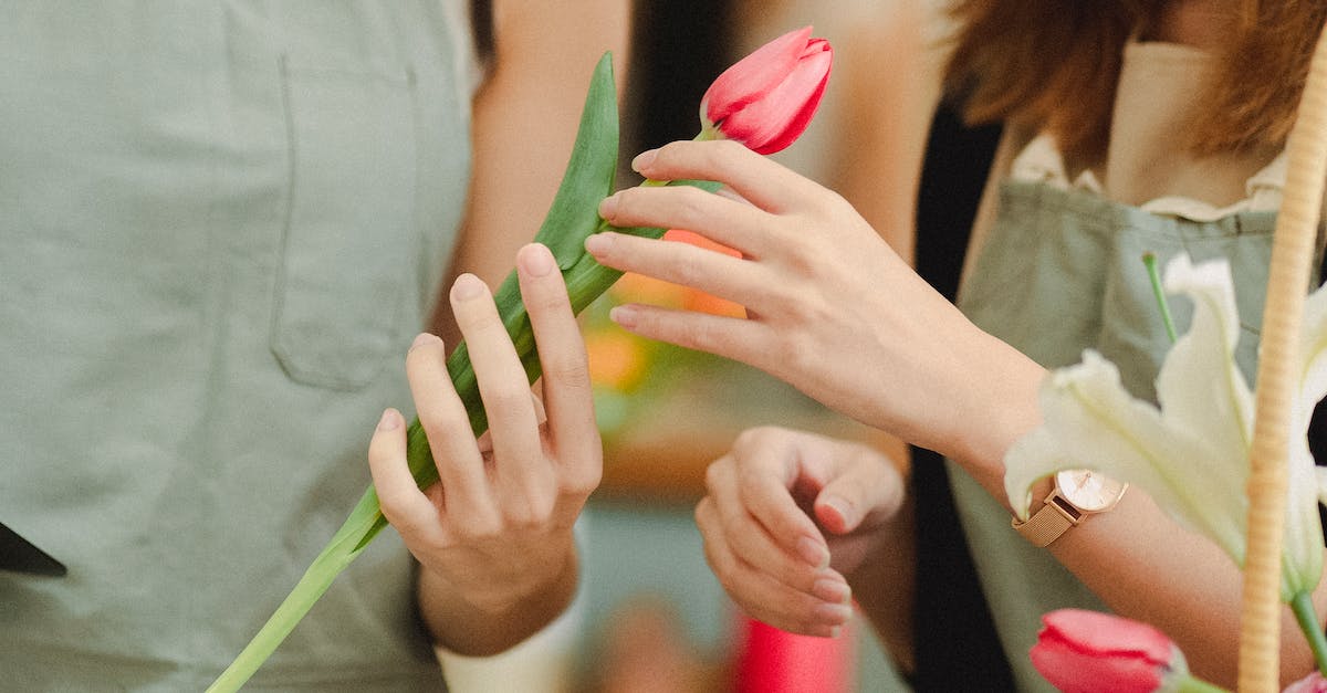 Implication of specialist step order - Unrecognizable female florists wearing aprons with pink tulip in hands standing in floral store on blurred background while arranging flowers