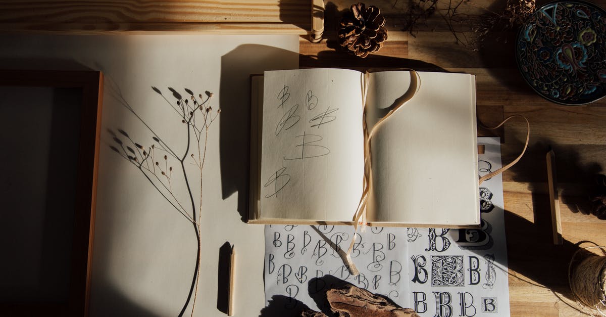 In Bidiots, what do the texts from the art buyers mean? - Top view of opened notebook with pencil and dried flower placed on wooden table near other decorative elements illustrating handwriting practice as hobby In Bidiots, what do the texts from the art buyers mean? - Top view of opened notebook with pencil and dried flower placed on wooden table near other decorative elements illustrating handwriting practice as hobby