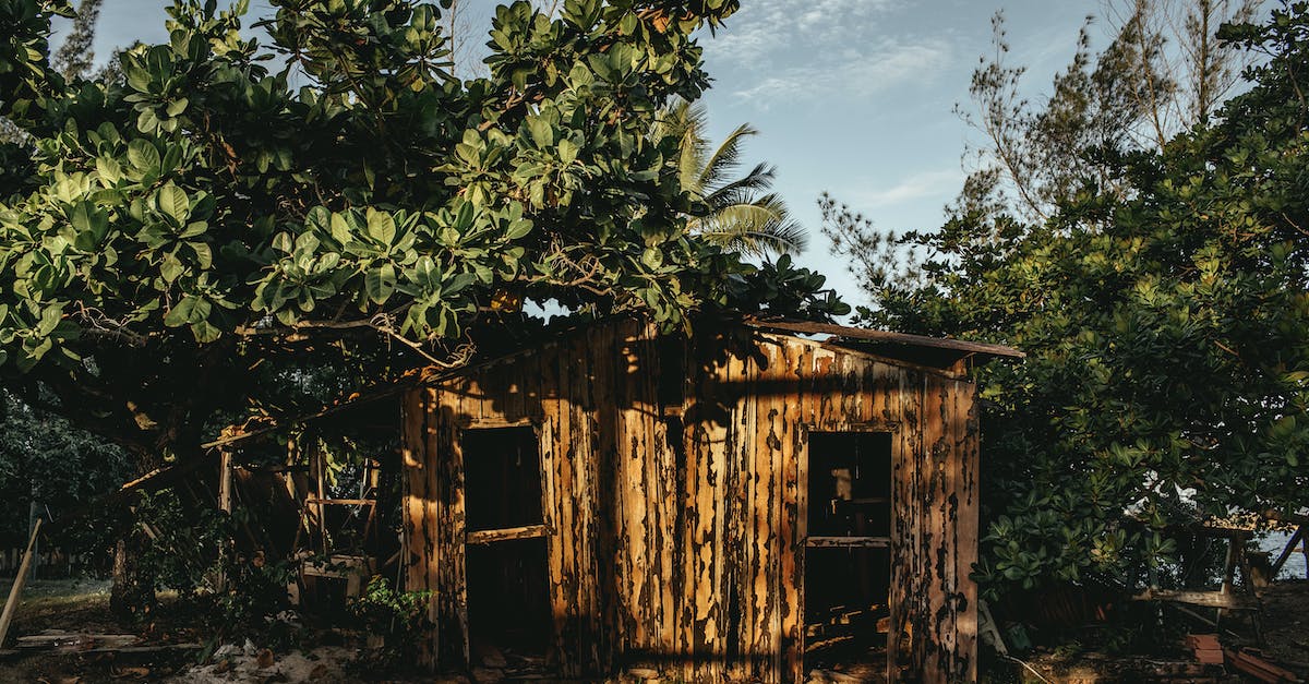 In Boom Beach are there reasons to destroy all buildings? - Shabby wooden barn in tropical forest In Boom Beach are there reasons to destroy all buildings? - Shabby wooden barn in tropical forest